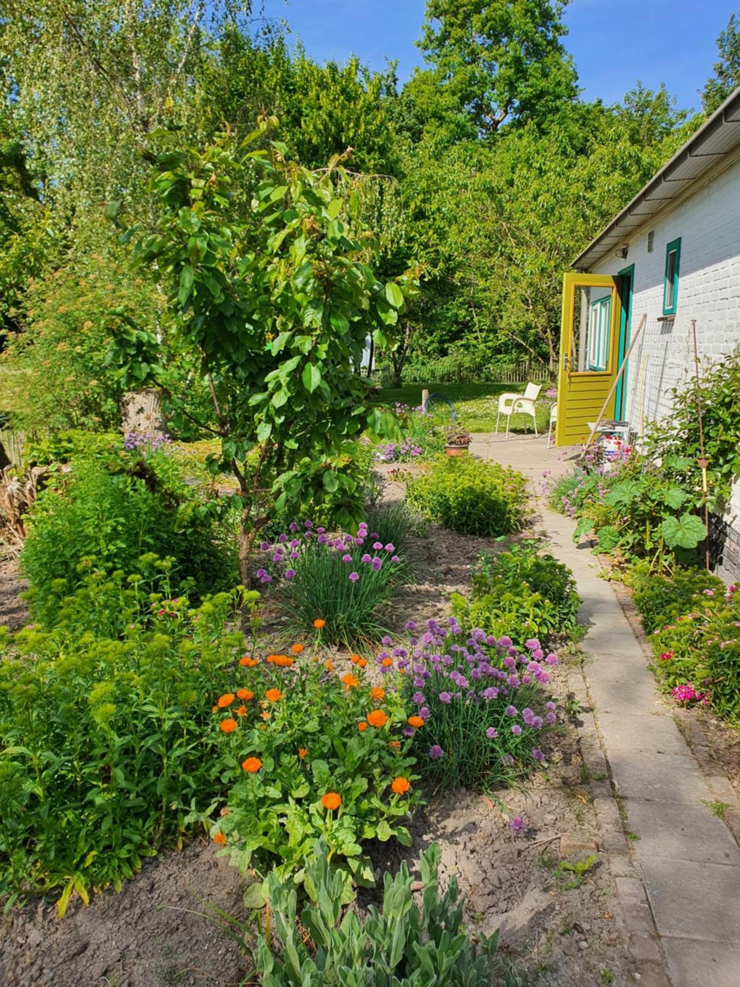 Huisje Fiederels Villa Bant Buitenkant foto