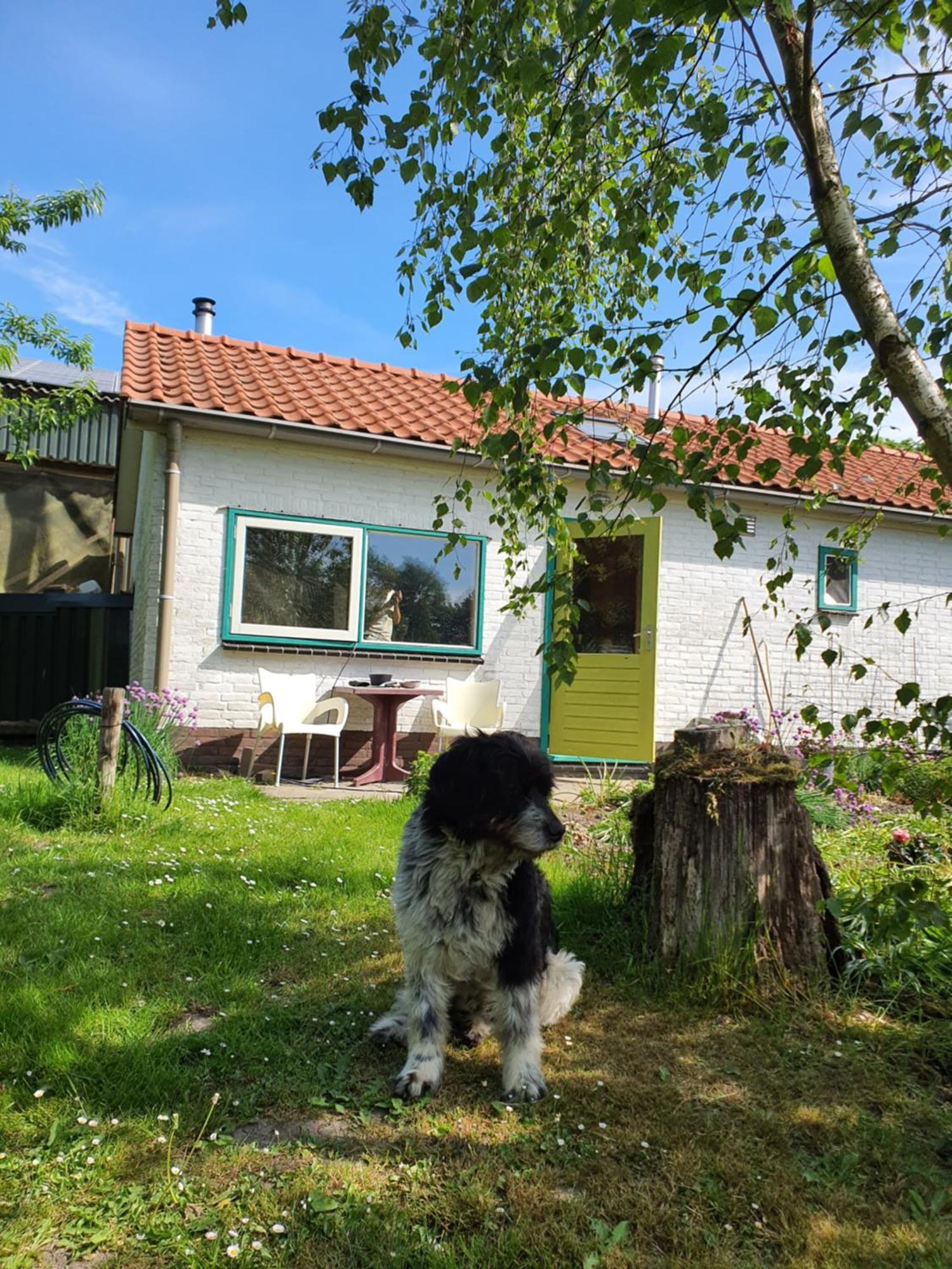 Huisje Fiederels Villa Bant Buitenkant foto